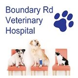 Boundary Road Veterinary Hospital Peakhurst