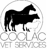 Coolac Veterinary Services - Vets Perth