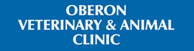 Oberon Veterinary and Animal Clinic - Vet Australia