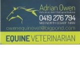 ADRIAN OWEN Equine Veterinarian - thumb 0