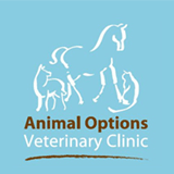 Animal Options Veterinary Clinic - Gold Coast Vets
