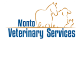 MontoVet Surgery - Vet Australia