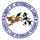 Albert Street Veterinary Clinic - Vet Australia