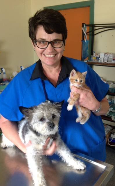 Killarney Vale Veterinary Clinic - Vet Australia 17