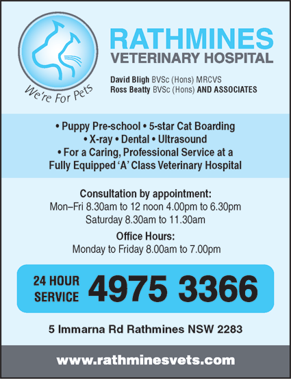 Rathmines Veterinary Hospital - thumb 4