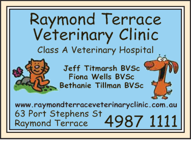 Raymond Terrace Veterinary Clinic - thumb 6