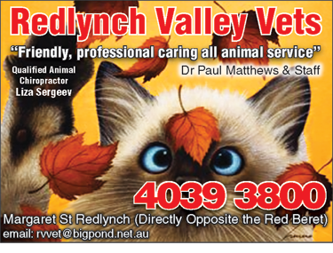 Redlynch Valley Vets - thumb 3