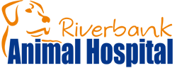 Riverbank Animal Hospital - Vet Australia