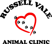 Russell Vale Animal Clinic - Vet Australia