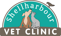 Shellharbour Veterinary Clinic - Vet Australia