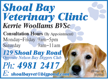 Shoal Bay Veterinary Clinic - thumb 6