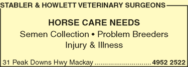 Stabler & Howlett Veterinary Surgeons - thumb 5