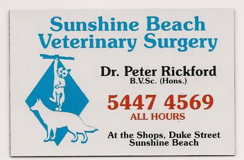 Sunshine Beach Veterinary Surgery - thumb 1