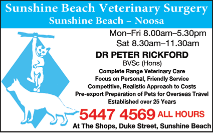 Sunshine Beach Veterinary Surgery - thumb 6