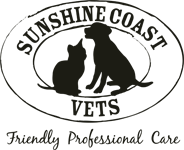Sunshine Coast Vets - thumb 0