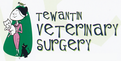 Tewantin Veterinary Surgery - Vet Australia