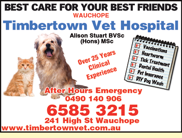 Timbertown Vet Hospital - thumb 3