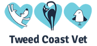 Tweed Coast Vet - Vet Australia