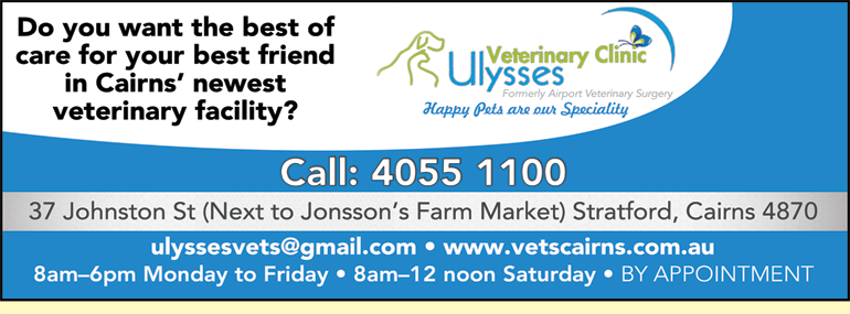Ulysses Veterinary Clinic Cairns - thumb 4