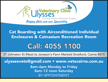 Ulysses Veterinary Clinic Cairns - thumb 5
