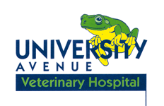 University Avenue Veterinary Hospital - Vet Australia