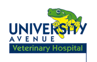 University Avenue Veterinary Hospital - Gold Coast Vets