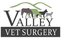 Valley Vet Surgery Mackay
