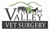Valley Vet Surgery - VETS Brisbane