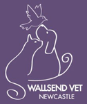 Wallsend Vet Newcastle - Vet Australia