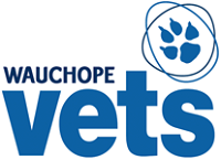 Wauchope Vets - Vet Australia
