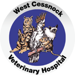 West Cessnock Veterinary Hospital