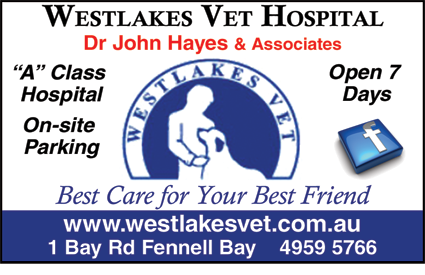 Westlakes Vet Hospital - thumb 6