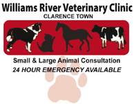 Williams River Veterinary Clinic