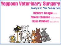 Yeppoon Veterinary Surgery - Vet Australia