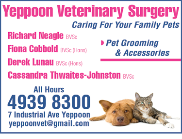 Yeppoon Veterinary Surgery - thumb 6