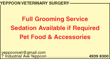 Yeppoon Veterinary Surgery - thumb 7