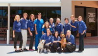 Berkhout Stacey Dr - Gold Coast Vets