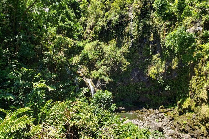 Small Group Road to Hana Adventure Tour with Pickup - Accommodation Dallas