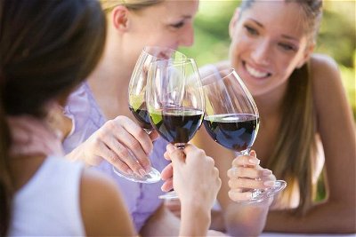 Wine Tour from Sedona to four Verde Valley Vineyards in Luxury Transportation