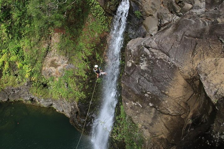 Rappel Maui Waterfalls and Rainforest Cliffs - Accommodation Los Angeles