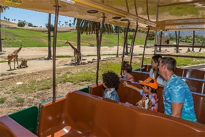 San Diego Zoo Safari Park 1-Day Pass Ticket, No Reservations Required!