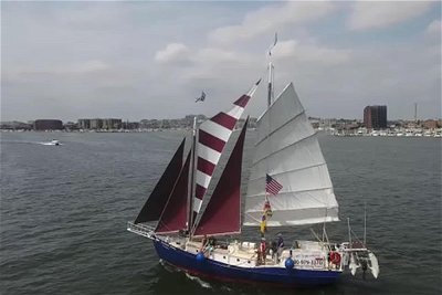 Harbor Sail on Summer Wind