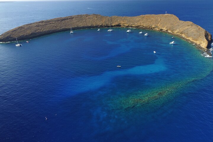 Brand New Super Raft - Private Maui 3 Hour Snorkel to Coral Gardens or Molokini - Accommodation Dallas