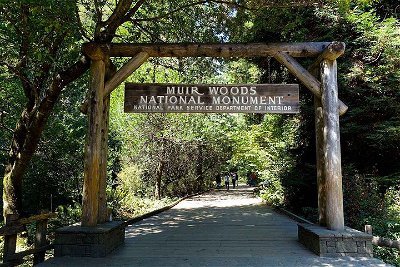 Muir Woods, Sausalito and San Francisco City Combo SUV Private Tour