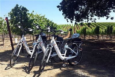 Guided E-Bike Tour of Temecula Wine Country Visit 3 Wineries with Lunch & Snacks