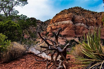 Small-Group Sedona Photography Workshop with Lunch or Dinner