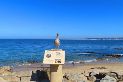 Historic Cannery Row: Explore John Steinbeck's Monterey on an audio walking tour