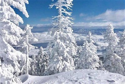 Half-Day Guided Backcountry Ski Touring Experience near Incline Village