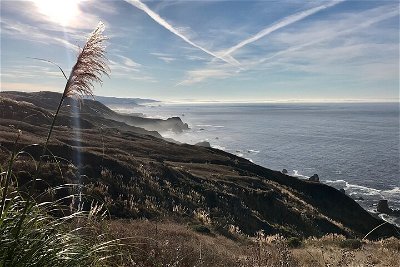 Guided Cycling Adventure with Epic Coastal Views and Redwood Forests
