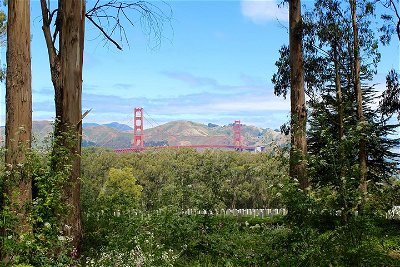 The Presidio - From the Main Post to the Golden Gate Bridge